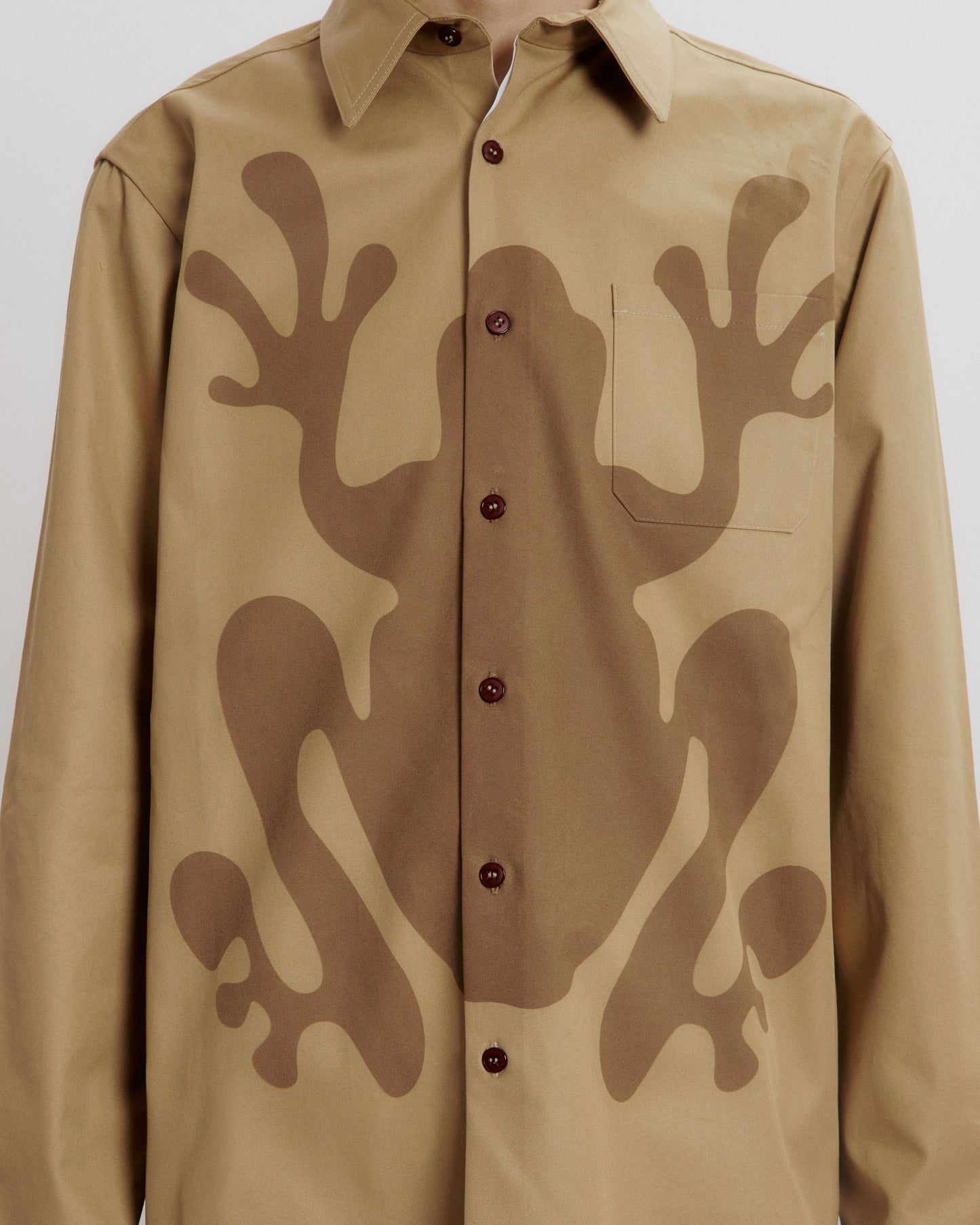 The hidden frog reversible overshirt
